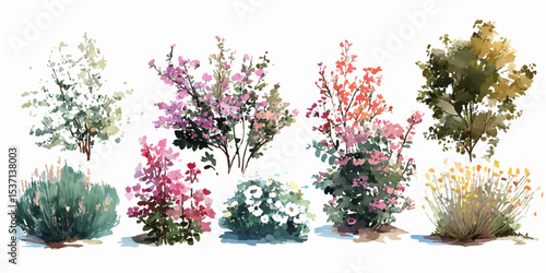 Set of Kolkwitzia amabilis (commonly known as beauty bush) blossoming frontal street isolated png on a transparent background.  A set of different types and sizes of bushes with flowers, greenery