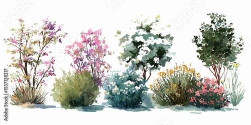 Set of Kolkwitzia amabilis (commonly known as beauty bush) blossoming frontal street isolated png on a transparent background.  A set of different types and sizes of bushes with flowers, greenery