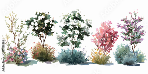 Set of Kolkwitzia amabilis (commonly known as beauty bush) blossoming frontal street isolated png on a transparent background.  A set of different types and sizes of bushes with flowers, greenery