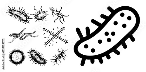 Vector Diverse microscopic organisms featuring bacteria and viruses.