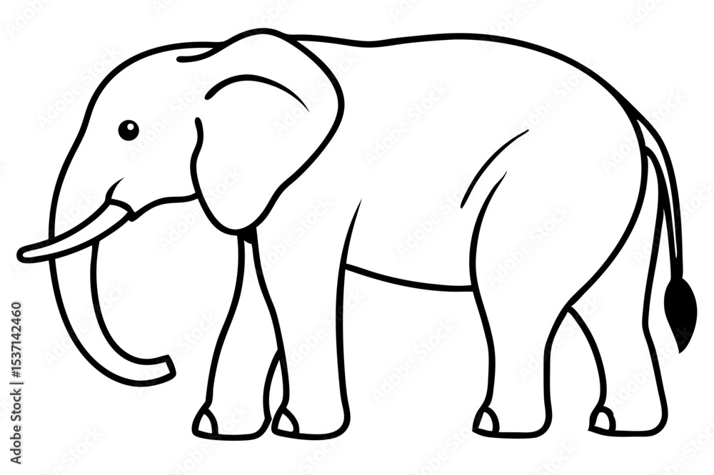elephant isolated on white elephant isolated on white