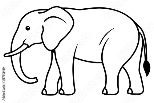 elephant isolated on white
