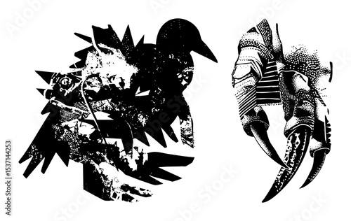 Vector Aggressive reptile heads with sharp claws and scales.