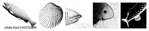 Vector Stylized fish portraits composed of dotted .