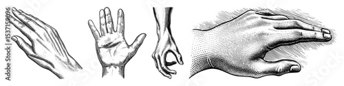 Vector Detailed illustrations of human hands in various expressive gestures.
