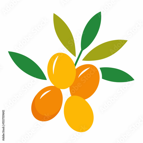 Colorful vector illustration of a fresh Sea buckthorn on a solid white background