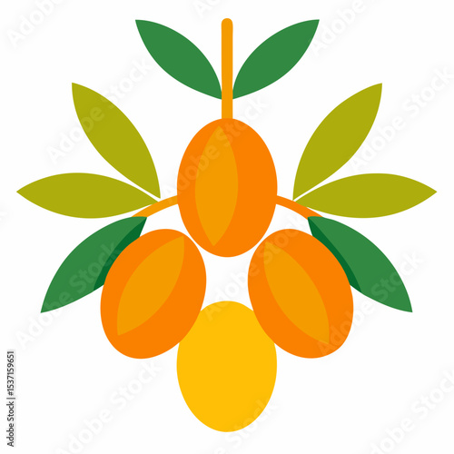 Colorful vector illustration of a fresh Sea buckthorn on a solid white background