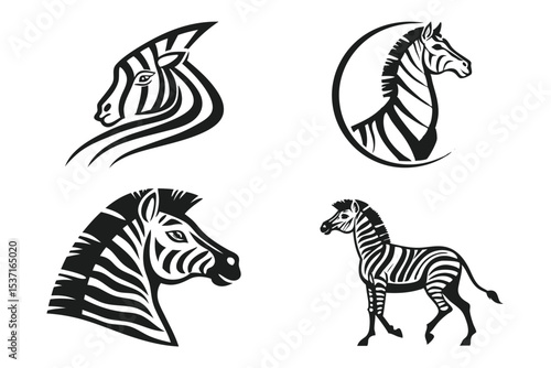 zebra