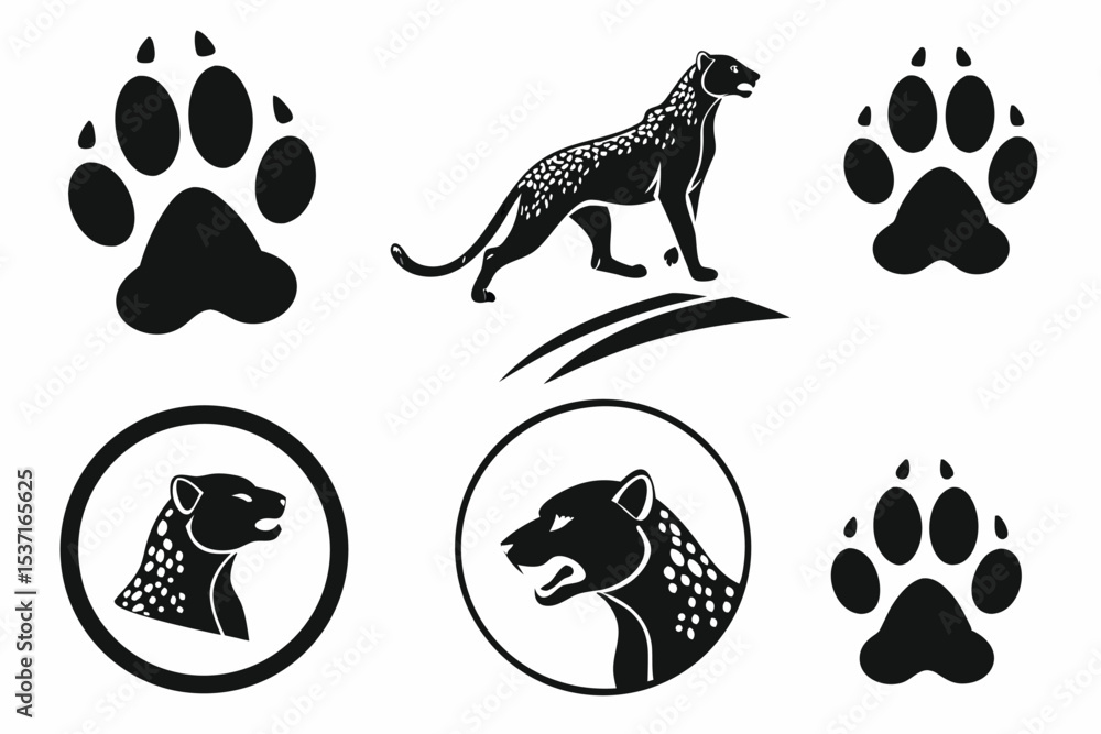 Fototapeta premium animal paw prints