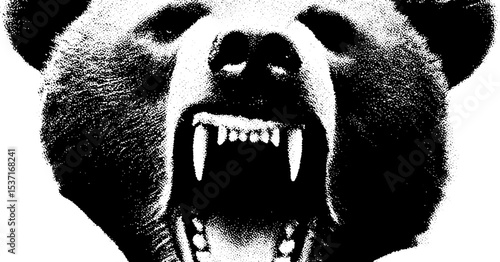 Fierce bear with crown and grills in high-contrast black and white