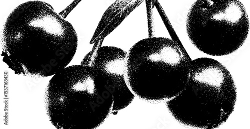 Black and white abstract bilberry bunch art for unique design