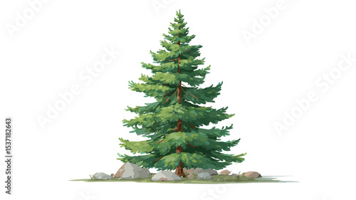 A digital illustration of an evergreen tree on a white background. The tree is depicted in a stylized manner with a clear, defined shape.  The color palette is primarily shades of green,