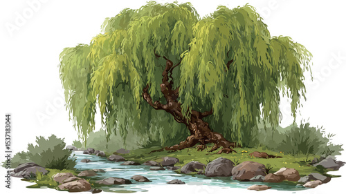 A digital painting or illustration depicting a weeping willow tree situated beside a small stream. The willow has abundant, long, drooping green leaves. The stream is depicted with light blue/green