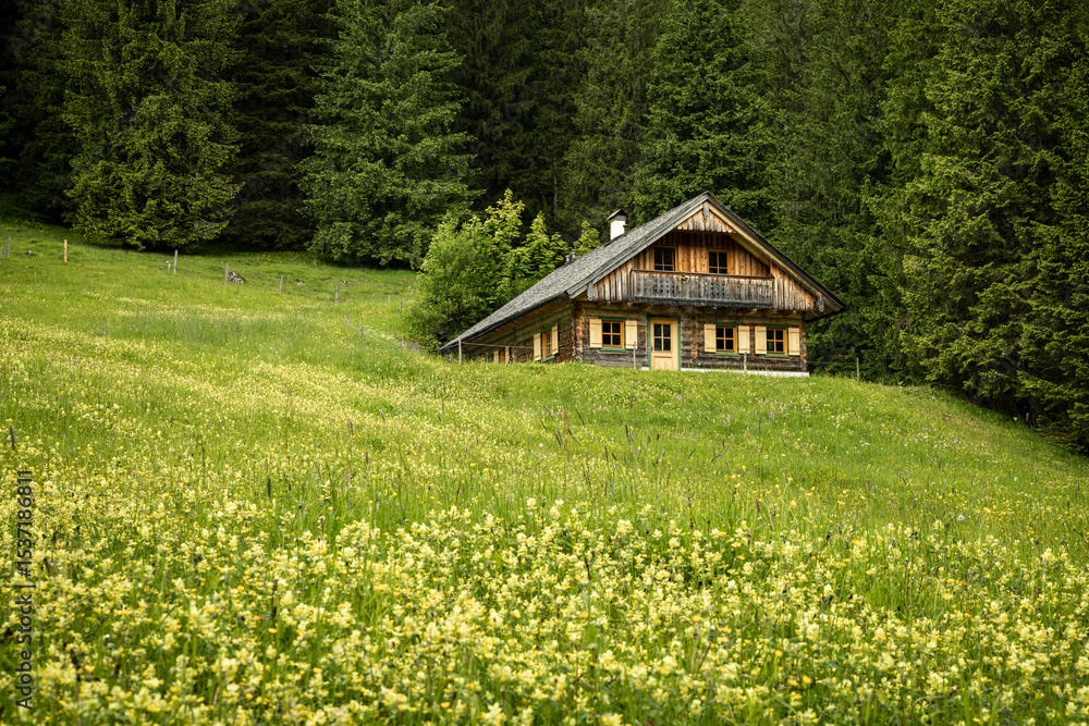Obraz premium Serene alpine scene with a cabin and wildflower field