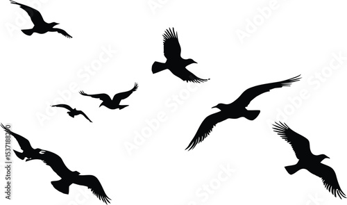 Delicious Pizza Slices with Basil and Tomatoes Framed by Black Geometric Shapes