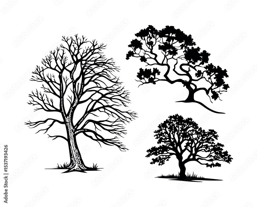Obraz premium Three tree silhouettes nature illustration silhouette