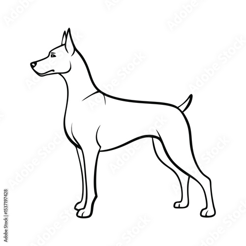 Doberman Dog Outline Vector – Guard Pet Line Art Clipart

