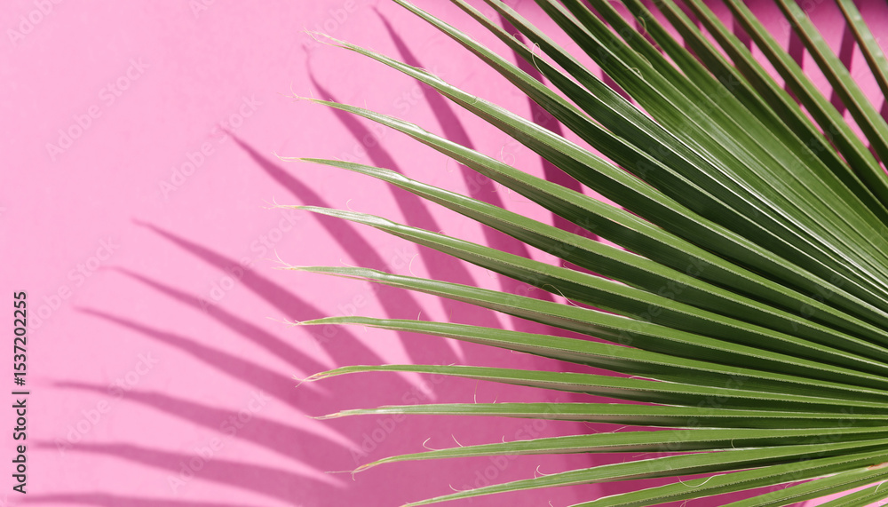 Fototapeta premium A close-up of green palm leaves casting sharp shadows on a bright pink background. The image captures the contrast between the vivid colors and the organic and geometric shapes. Summer concept banner.
