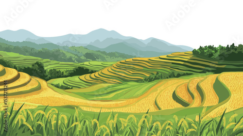 Digital illustration depicting a landscape of rice terraces. The image showcases multiple levels of terraced rice paddies in varying shades of green and yellow-gold, suggesting different stages of