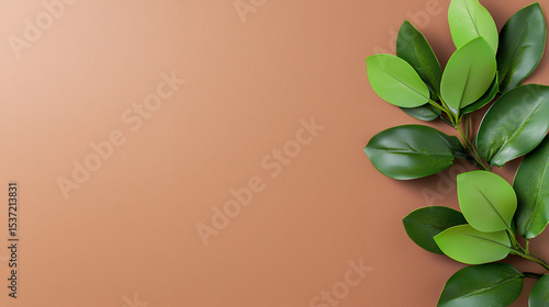 green plant in a pot