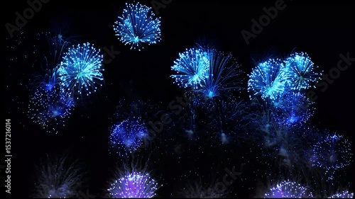 Mesmerizing Blue Fireworks Display Night Sky Spectacle 