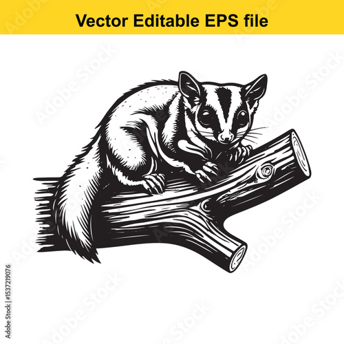 Monochrome Sugar Glider Clinging to a Branch Woodcut Style Illustration Playful Black and White Design of a Small Mammal in the Forest