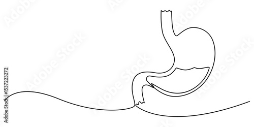 Stomach one continuous line drawing anatomy concept on white background. Single line art stomach minimalism vector illustration, Continuous Line Drawing of Stomach Icon. Hand Drawn Symbol Vector pro.