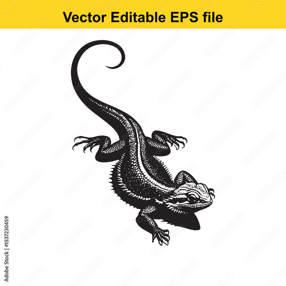 Obraz premium Detailed Vector Illustration of a Bearded Dragon Featuring Scaled Skin and a Curled Tail Depicting Reptilian Anatomy for Educational or Artistic Purposes