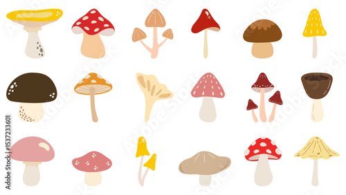 Variety of Mushrooms Vector Illustration Full Set. Fungi. Colorful.