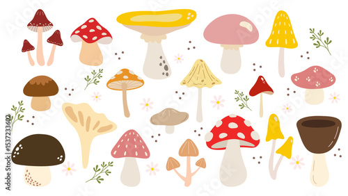 Autumn set with seamless pattern and a collection with seasonal elements, different mushrooms and plants