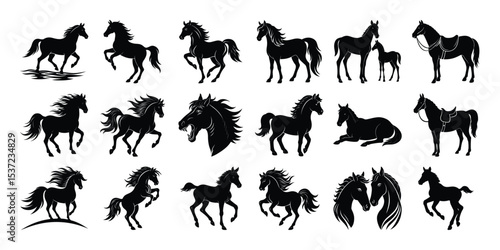 horse silhouettes vector, on white Background.