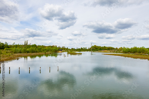 Fototapeta Saint-Cyr lake, near Poitiers and Chatellerault, bird sanctuary, equipped with b