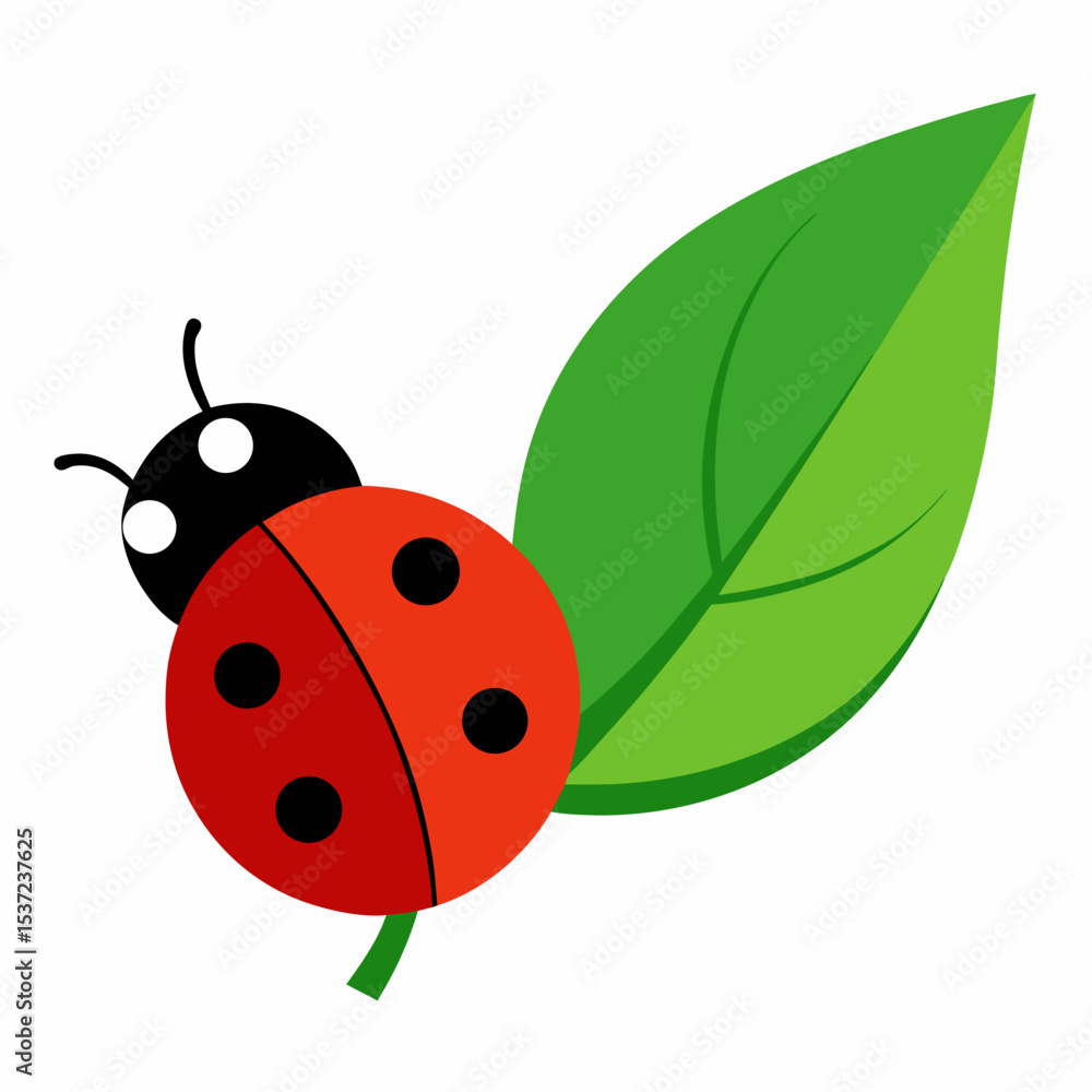 Fototapeta premium ladybug on green leaf
