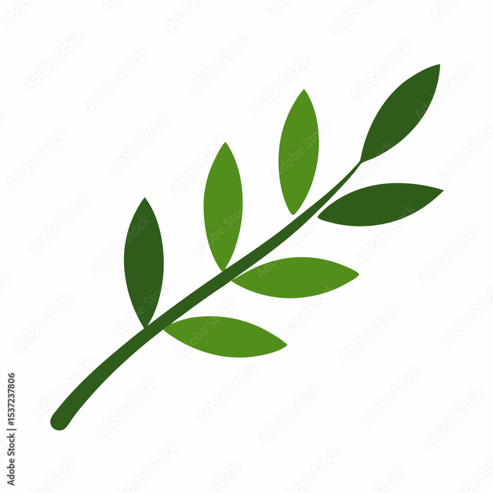 Obraz premium green leaf isolated on white background