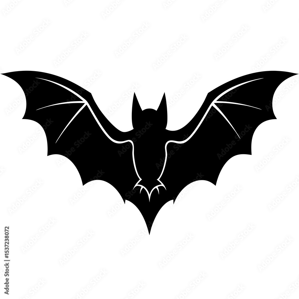 Fototapeta premium bat vector illustration