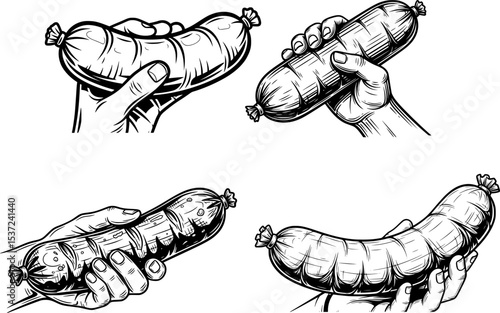 traditional polish sausage kielbasa in hand drawn vector style
