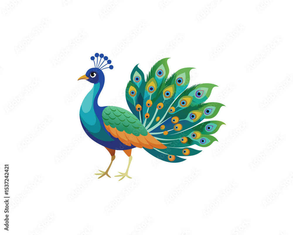 Fototapeta premium Peacock Bird Vector Illustration Peacock Vector Art – Detailed Exotic Bird on White BackgroundIsolated on White Background