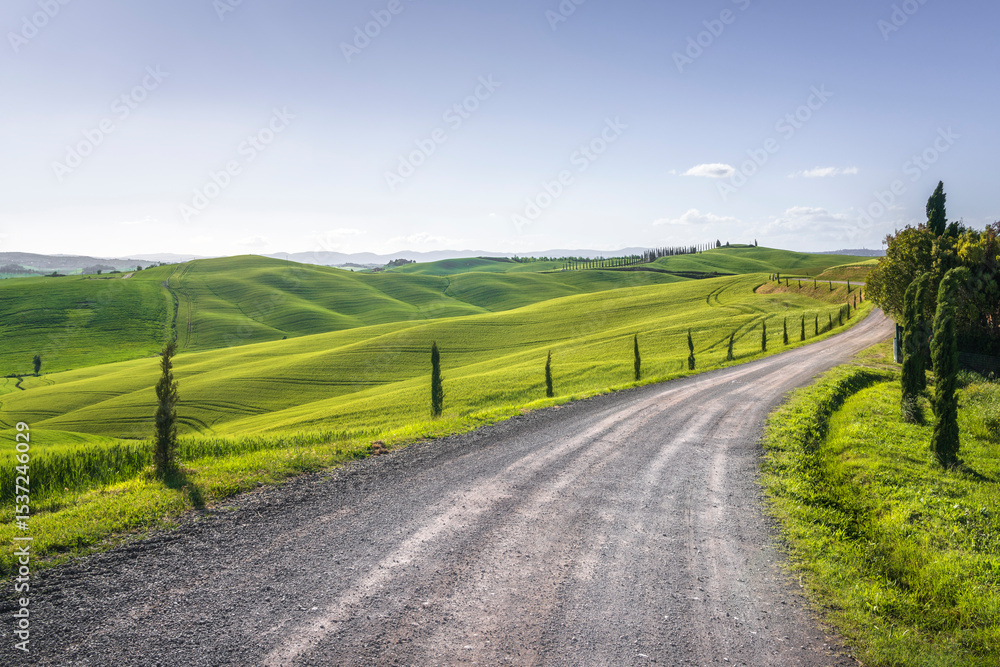 Fototapeta premium Route of the Via Francigena in Monteroni d'Arbia. Tuscany, Italy