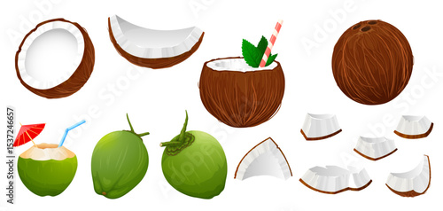 Vector illustration of a coconut set on a white background. Includes whole coconut, coconut pieces, green coconut, and tropical coconut drink in a glass.