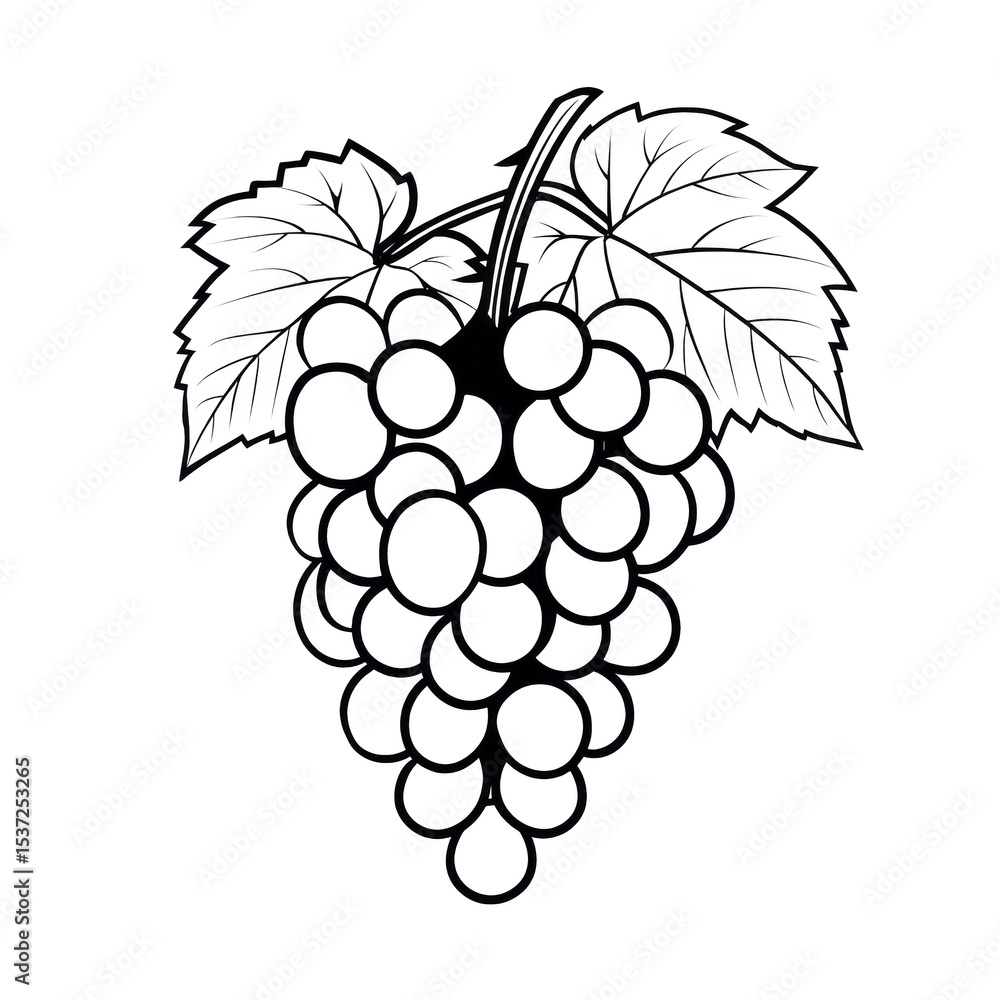 Fototapeta premium Elegant line art drawing of a bunch of grapes with leaves a perfect design element for wine labels or healthy food packaging, silhouette, transparent background