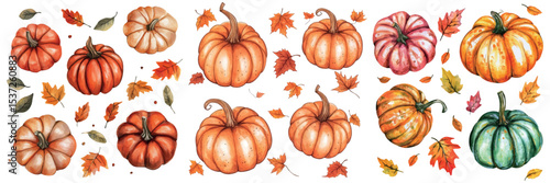Watercolor set of pumpkins with autumn leaves png. Various orange and green pumpkins with fallen autumn leaves on a transparent background. Concept of autumn, Halloween, Thanksgiving.