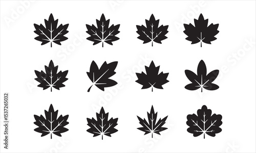 A set of twelve simple, black silhouettes of maple leaves in various orientations, Collection of Black and White Maple Leaf Silhouettes