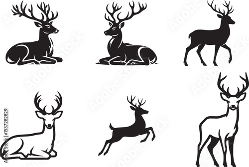 deer