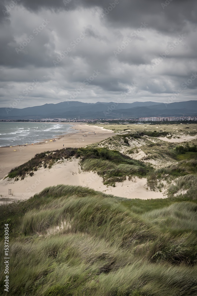 Coastal dunes and a beach under a cloudy sky. Coastal dunes and a beach under a cloudy sky.