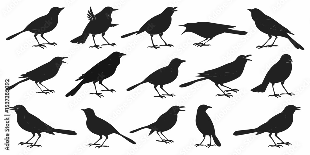 set of silhouettes of birds set of silhouettes of birds