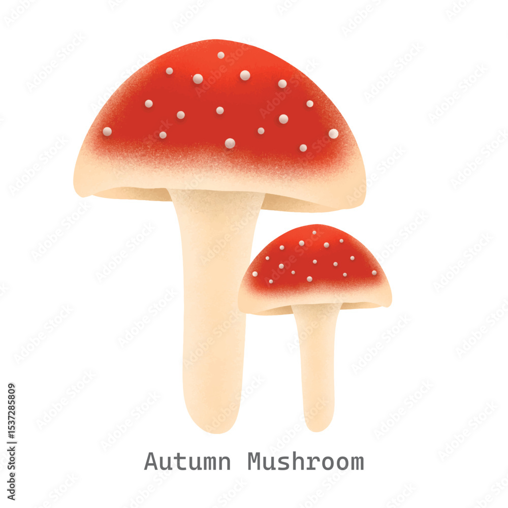 Obraz premium Autumn mushroom collection illustration