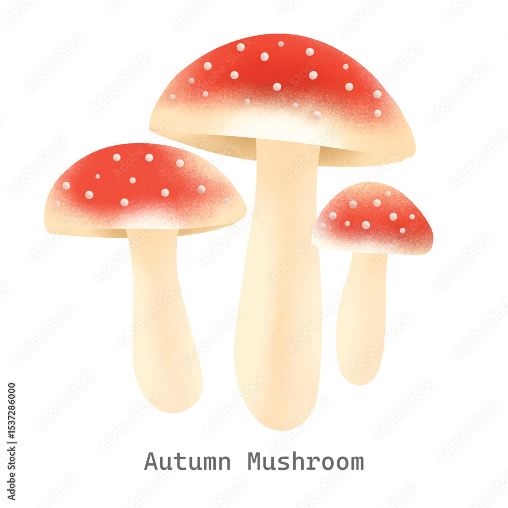 Obraz premium Autumn mushroom collection illustration