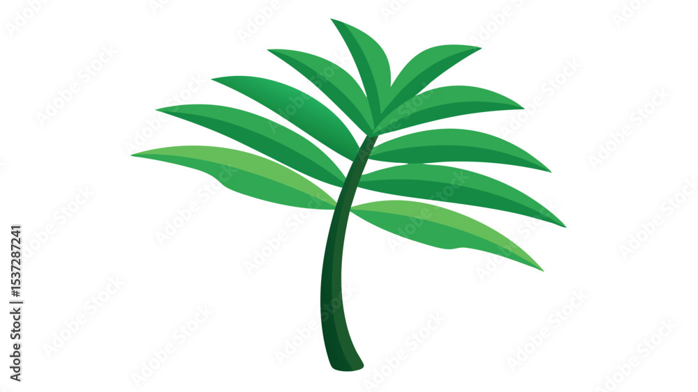 Obraz premium green plant tree leaves isolated on white background