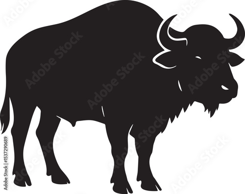 buffalo