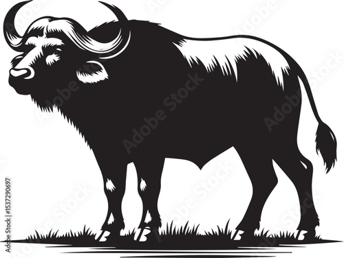 buffalo